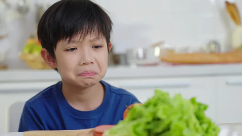 Tips Memilih Makanan Sehat untuk Anak yang Pemilih – PAFI Kuala Tungkal